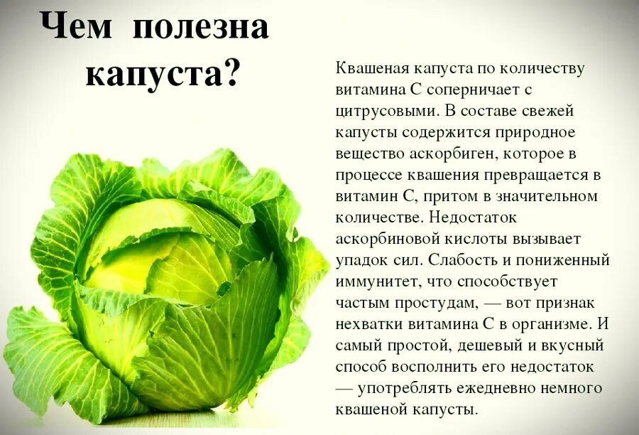 Полезно ли кислое. Капуста. чем полезна капуста. что полезного в капусте. полезные свойства капусты.