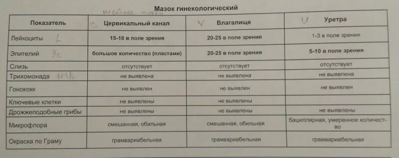 2 4 в п зр