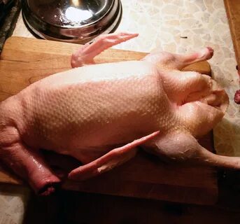 Мясо утки