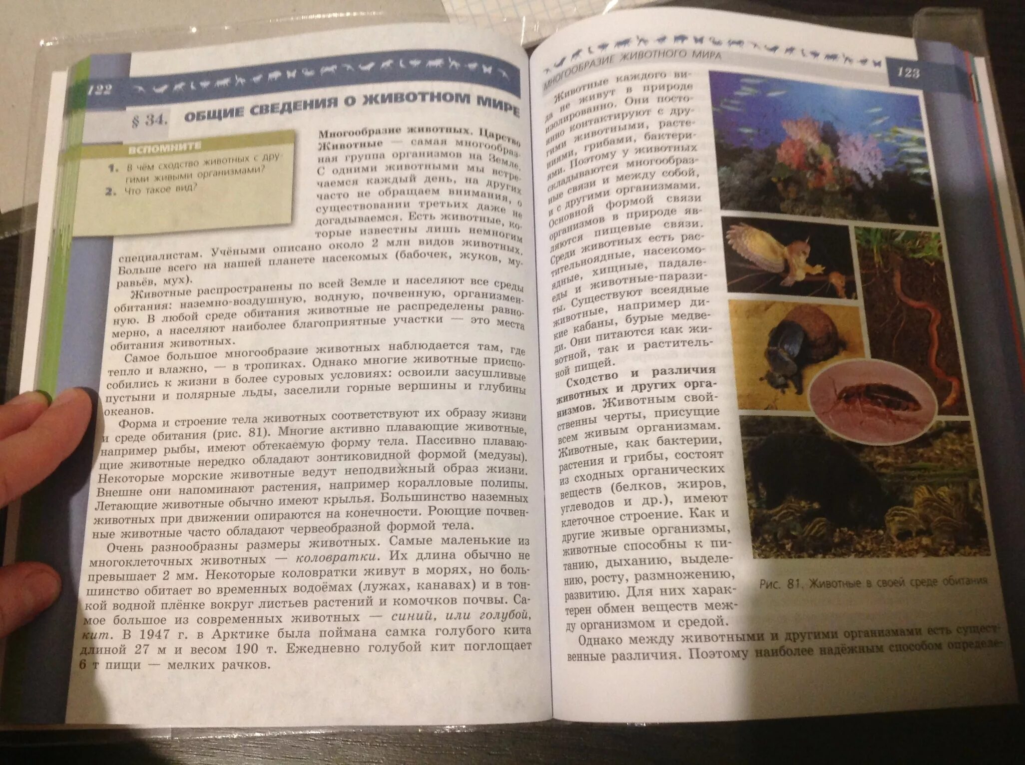 §41 города эллады подчиняются македонии краткий пересказ. история 5 класс параграф 41 краткий пересказ. история 5 класс параграф 41 краткий пересказ. 54 параграф по истории 5 класс. домашнее задание по истории 5 класс.