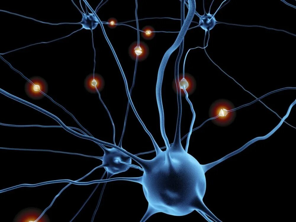 Мозг человека состоит из нейронов. Нейроны. Клетки мозга. Нейронная клетка. Нейроны мозга.