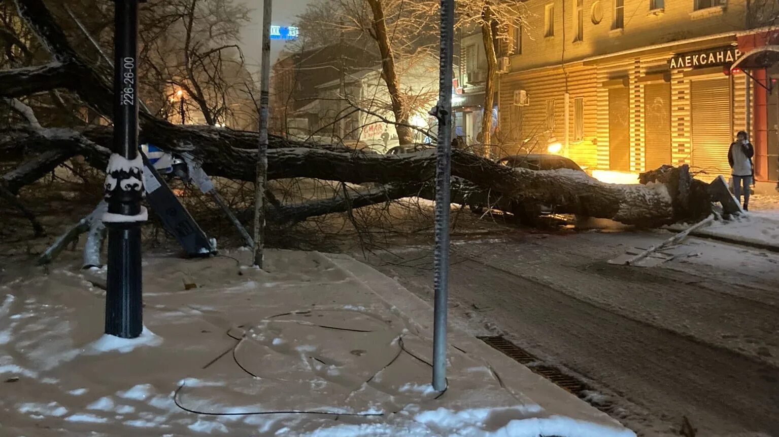 Снег в Ростове на Дону. Снегопад 2014 года в Ростове на Дону. Ростов на Дону снегопад 2018. Упавшее дерево в Ростове-на-Дону. 4 декабря ростов на дону