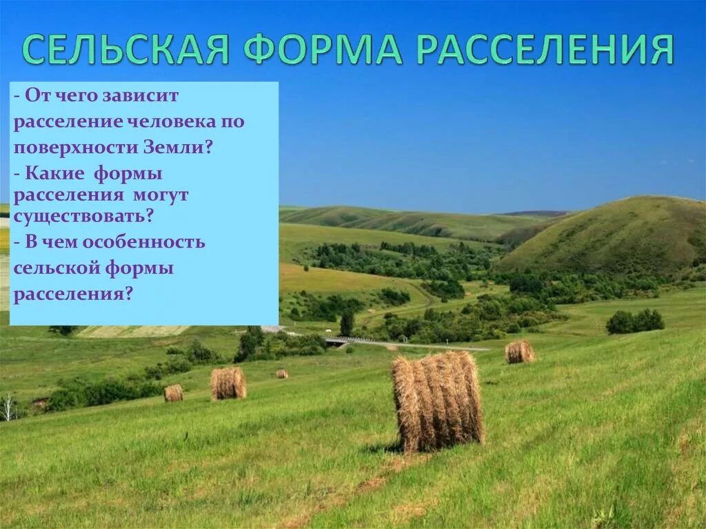 Формы сельского расселения. Формы расселения сельского населения. Формы сельского расселения география. Формы сельского расселения в России. Расселение деревень