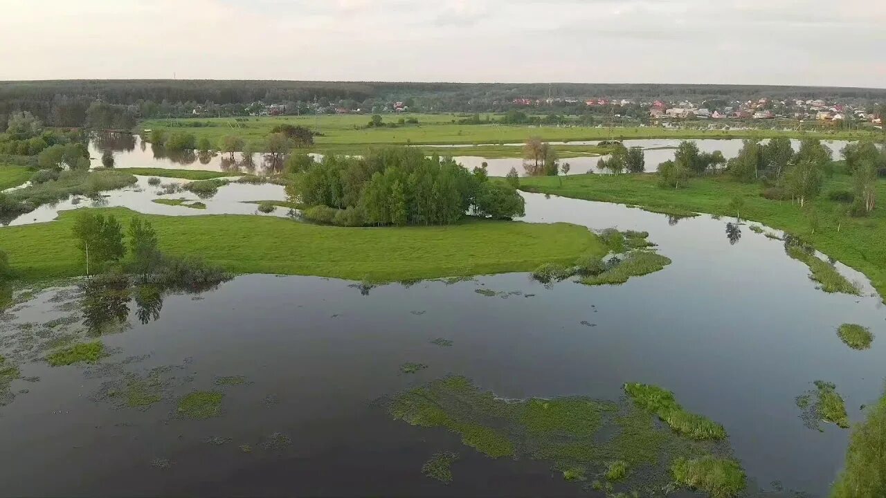 Устье клязьмы. Река шерна. Клязьма река королёв. Река клязьма. Река клязьма лето.