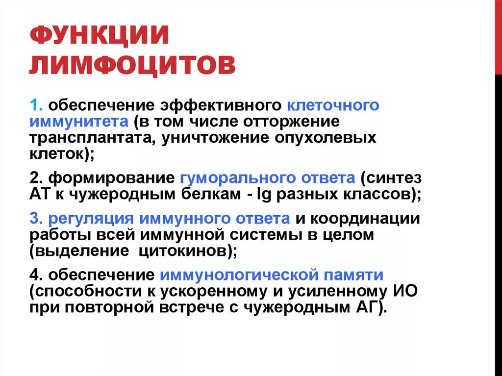 Лимфоциты свойства и функции. Основная функция б лимфоцитов. Функции т лимфоцитов и функции в лимфоцитов. Функции малых лимфоцитов в крови. Лимфоциты структура