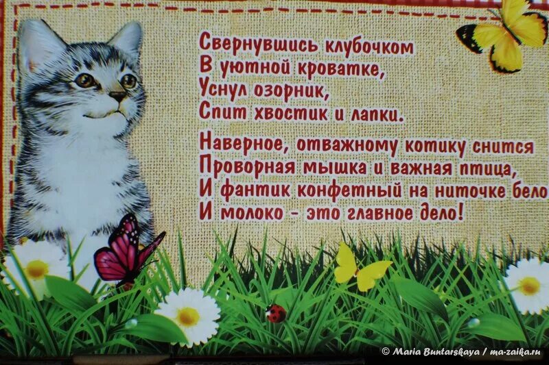 Отзыв день кошек. День кошек стихи.