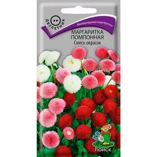 Маргаритки семена