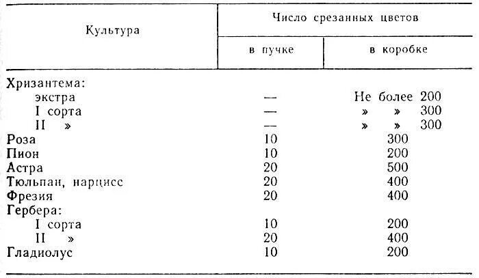 При какой температуре хранить тюльпаны
