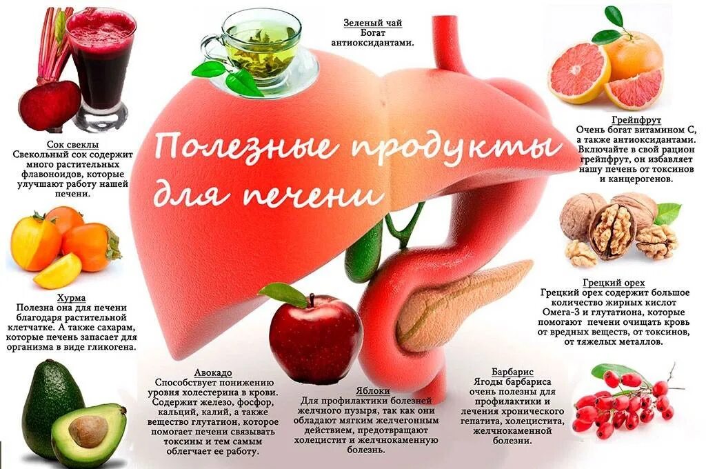 Польза железа для печени. Продукты для печени. Что полезно для печени. Полезная еда для печени. Продуктыполезныед япечени.