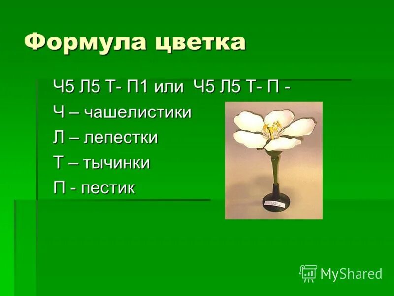 Формулы для решения задач на движение. 2 формула сокращенного умножения. Формулы алгебра шпаргалка. Формула c 5 f 32 9. Формула c 5 f 32 9.