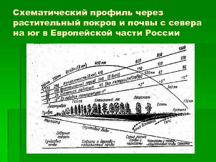 Типы почв России с севера на Юг. Зональные типы почв с севера на Юг. Расположить зональные типы почв с севера на Юг. Смена типов почв с севера на Юг. Порядок почв с севера на юг