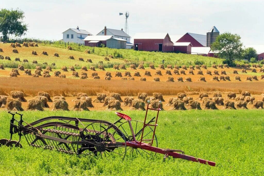 Земледелие это. Кентукки сельское хозяйство. Сельское хозяйство штата Огайо. Техас сельское хозяйство. Ферма в Польше.