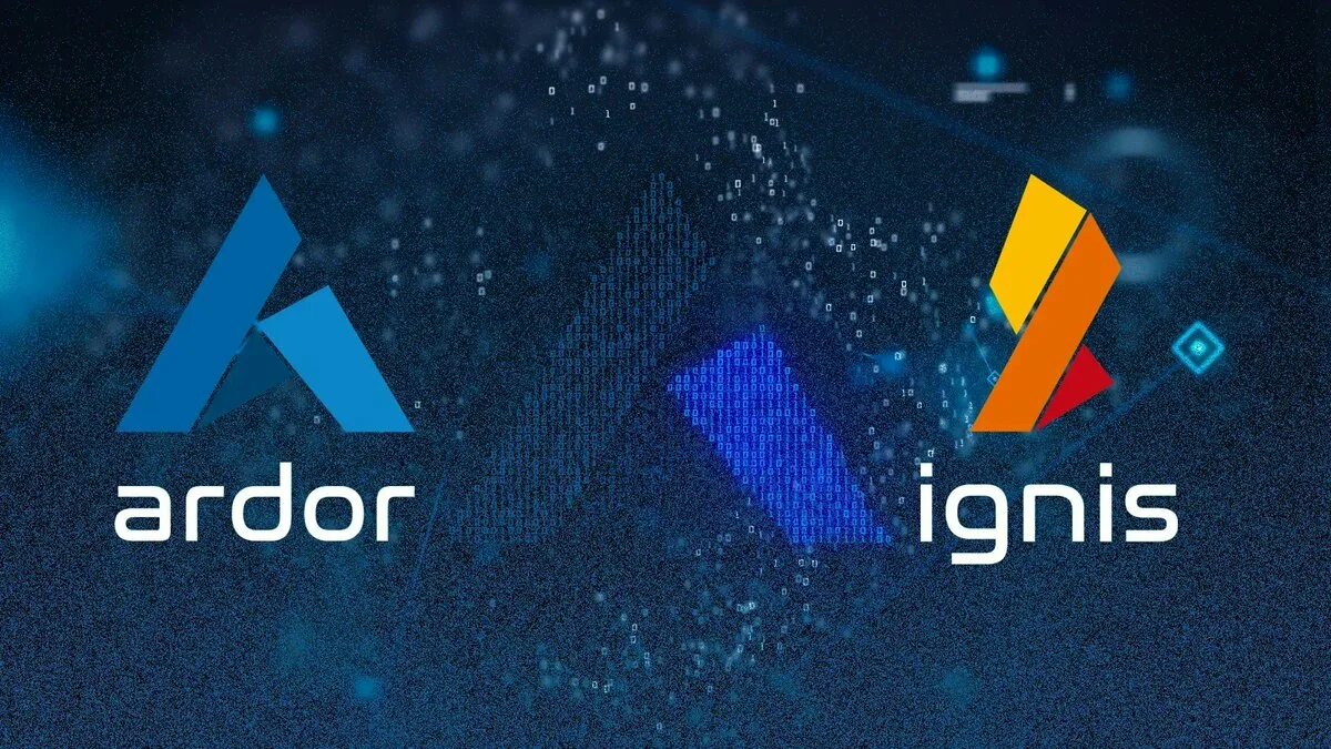 Ardor gaming сборки