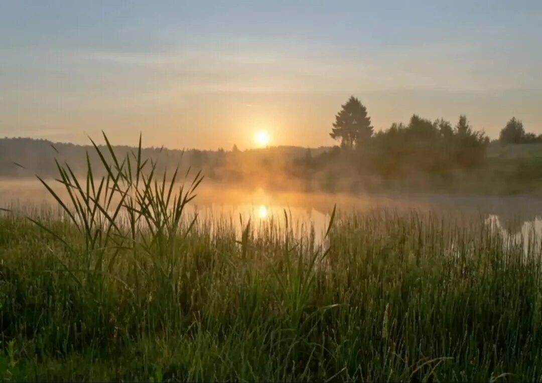 Зорька ясная дзен. Раннее утро. Раннее летнее утро. Раннее утро рассвет. Рано утром на рассвете.