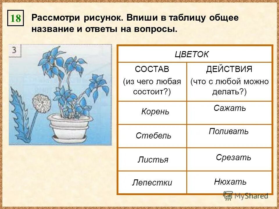 каково общее название моделей которые можно осязать. рассмотри рисунки впиши в таблицы общие названия и ответы на вопросы. муравьишка предлагает тебе подобрать общее название к перечисленным. какие разделительные слова. задание найди общее название.