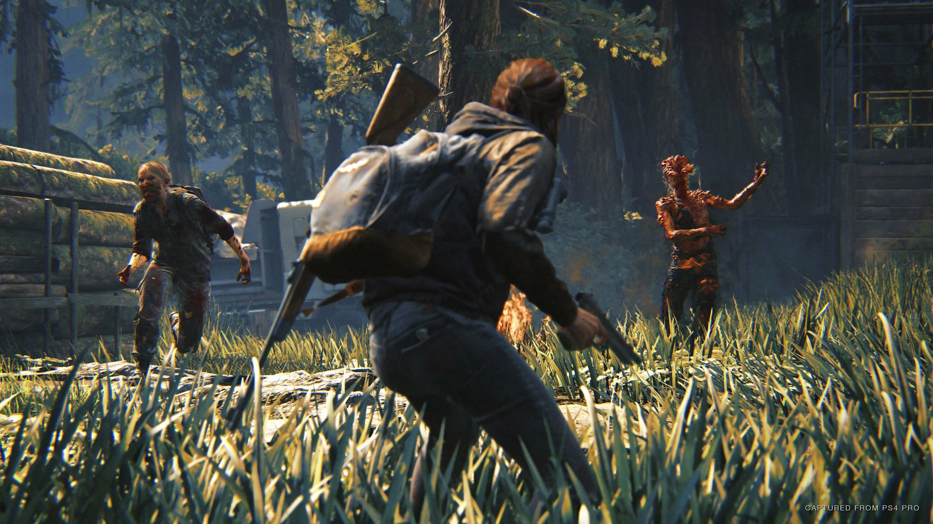 The last of us part i 2. The last of us.
