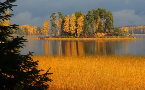 Монрепо осенью