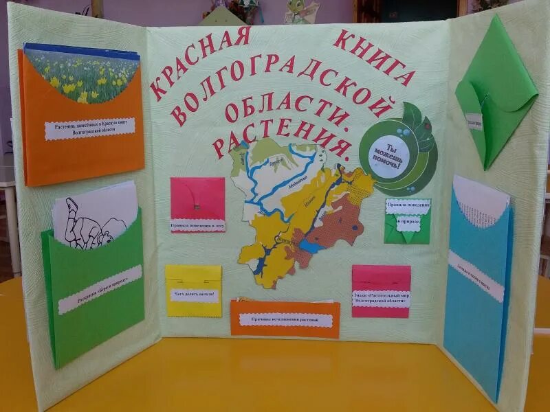 Лэпбук педагога. Лэпбук педагога