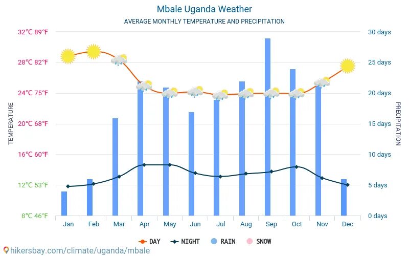 Уганда температура. Средняя температура в России по годам 2015 - 2022. Средний Возраст в Уганде. Кампала Уганда погода сейчас. Погода 2015 год