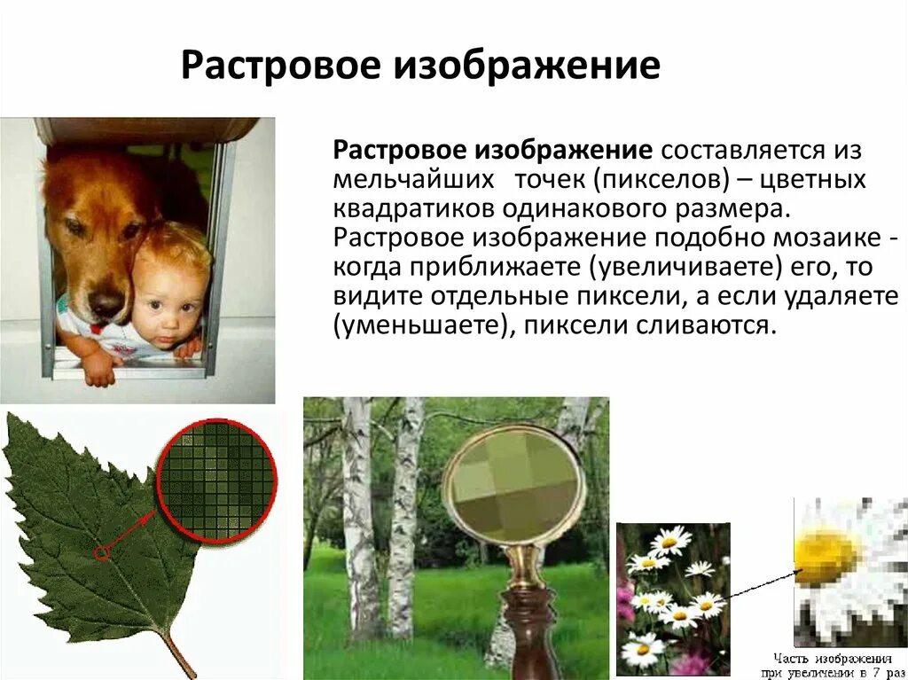 Какое количество растровых изображений одинакового размера. Растровое изображение представляет из себя. Источники растровых изображений. Растровое изображение составляется из мельчайших.... Источники получения растровых изображений..