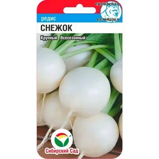 Редис сибири