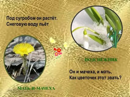 Загадка под землей