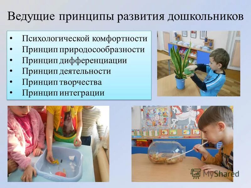 Формы работы с детьми по исследовательской деятельности. Опытно экспериментальную деятельность детей дошкольного возраста. Детское экспериментирование. Формы работы с детьми по экспериментальной деятельности. Опытно экспериментальную деятельность детей дошкольного возраста.