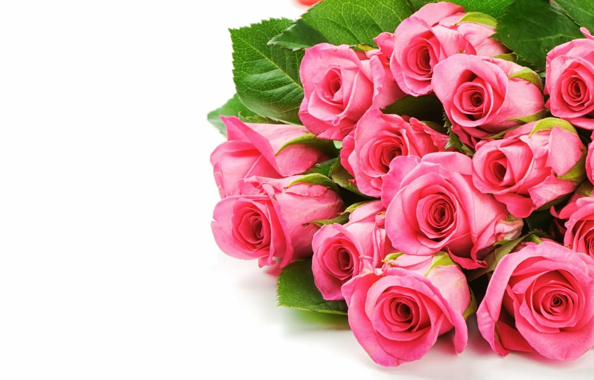 Поздравить полная. Татьянин день. Цветы поздравления. Татьянин день поздравление. Открытки с розами.