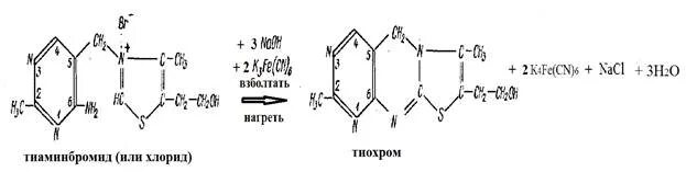Окисление тиамина в тиохром. Окисление витамина в1 в тиохром. Реакция окисления витамина в1 (тиамина) в тиохром.. Реакция окисления тиамина. Качественные реакции на витамины