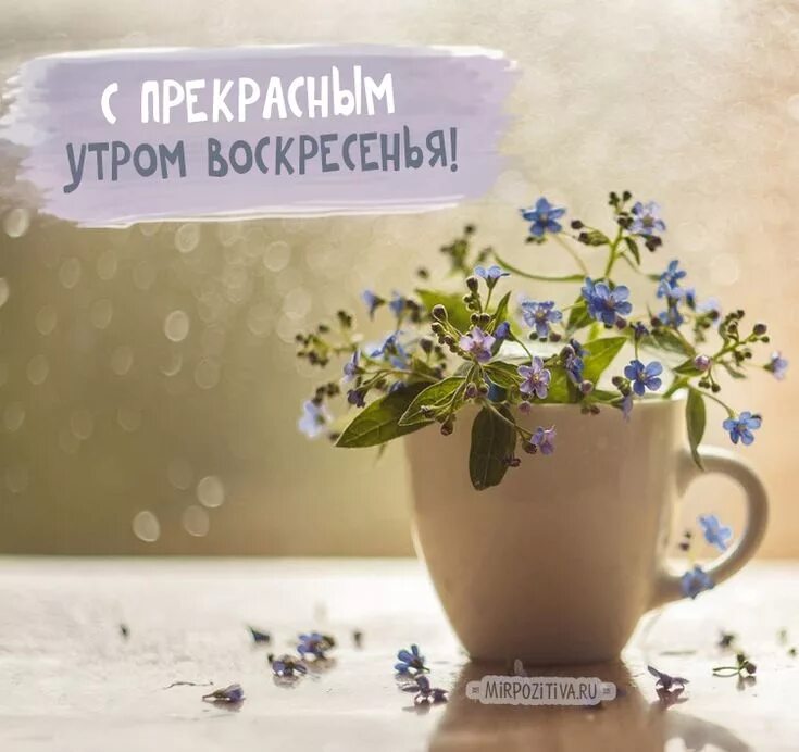 Летняя воскресная