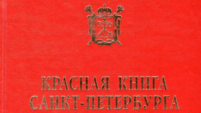 Ведение красных книг. Красная книга Санкт-Петербурга и Ленинградской области обложка. Красная книга СПБ Ленинградской области книга. Красная книга Ленинградской области обложка. Животные красной книги Санкт-Петербурга.