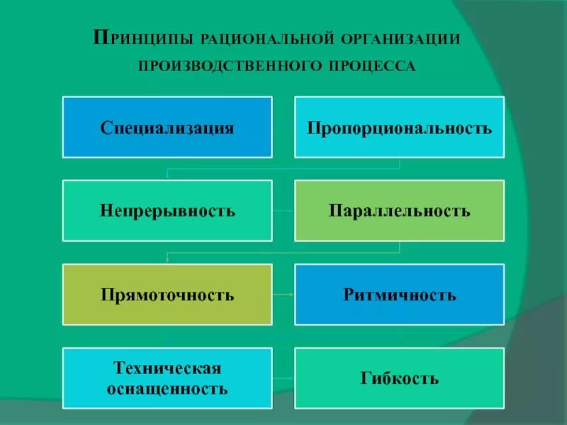 Принципы организации производственного процесса. Рациональная организация производственного процесса. Принципы рациональной организации. Принципы рациональной организации производства процесса. 5 рациональная организация