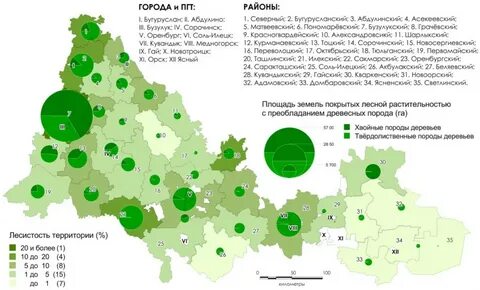 Карта лесного фонда