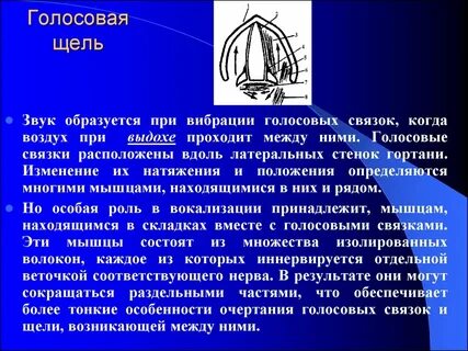 Расширяющую голосовую щель