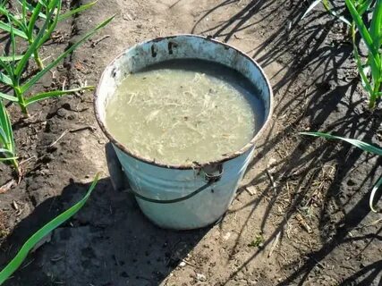 Раствор для полива