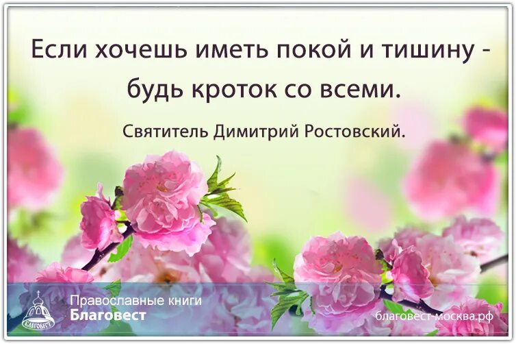 Что означает слово кротость. Крутость кротость. Кротость картинки. Кротость и смирение в православии.