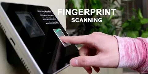 Device build fingerprint