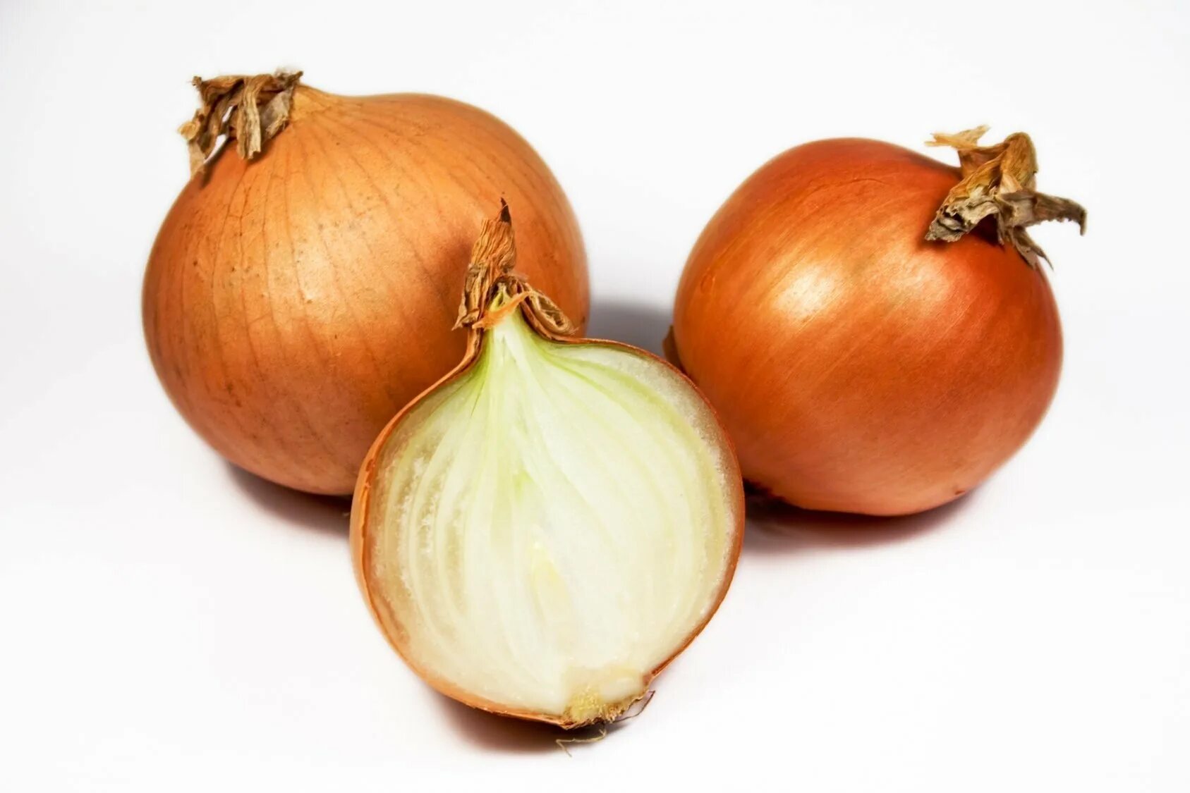 Mixed onion. Лук овощ. Лук на белом фоне. Лук репчатый на белом фоне. Лук картинка.
