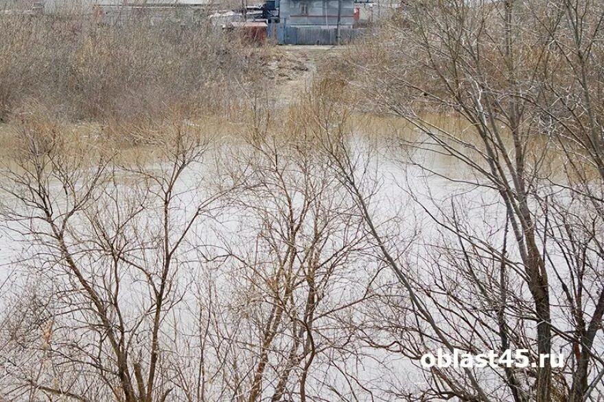 Уровень воды в реке тобол ялуторовск