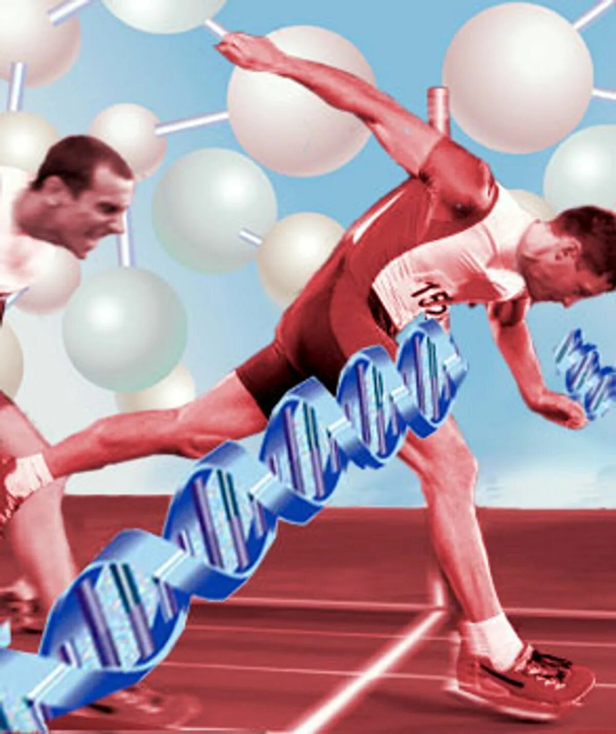 Геном спортсмена. Спортивная генетика презентация. Виды отбора в спорте. Спортивная генетика. Геном спортсмена.