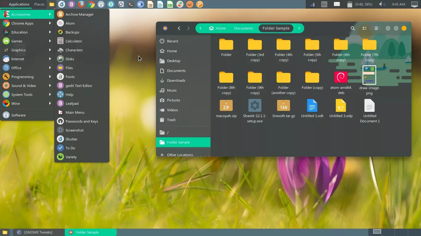 Тема windows в линукс. Аналоги программ windows в linux. Windows темы linux. Темы для linux. Темы xp windows для linux.
