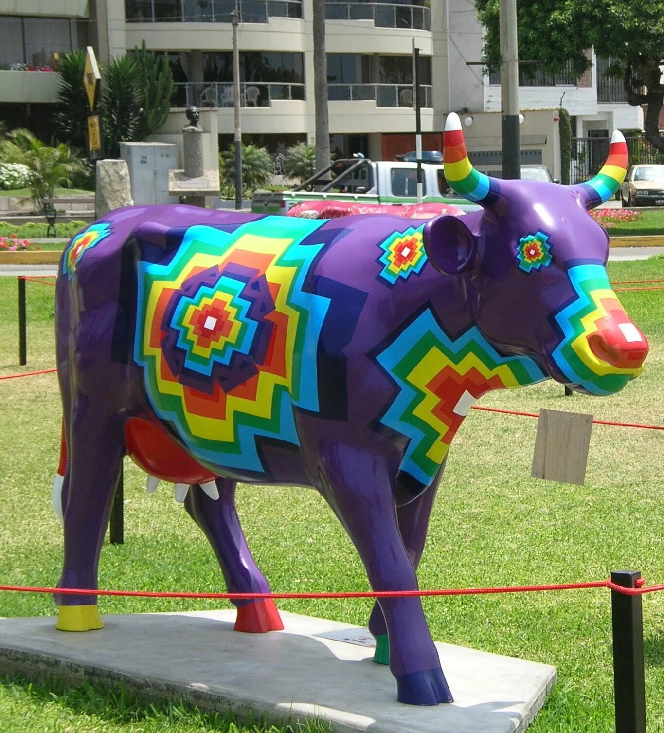 Now cow
