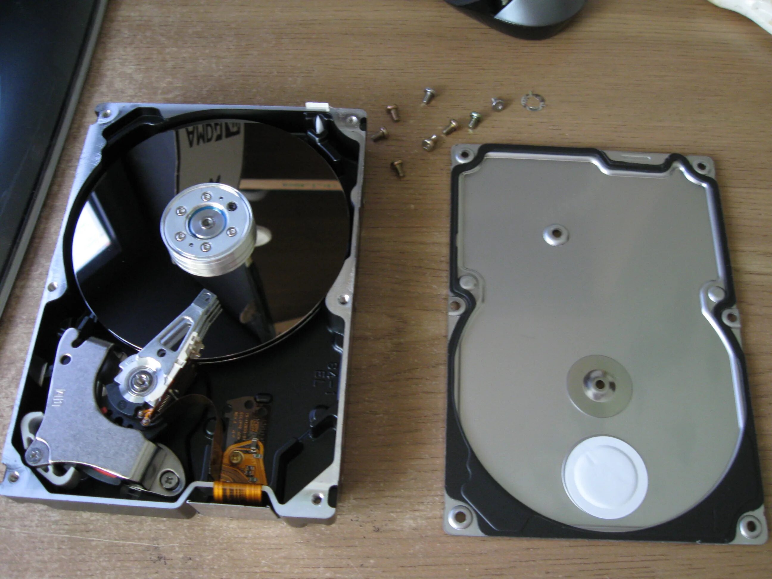 Почему пропадает жесткий диск. Жесткий диск Quantum. HDD 525. Hdd1901 f.