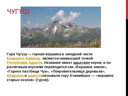 Сообщение о горе короткое