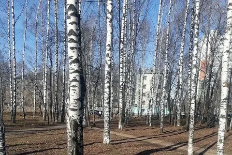 В сквере возле дома было так тихо