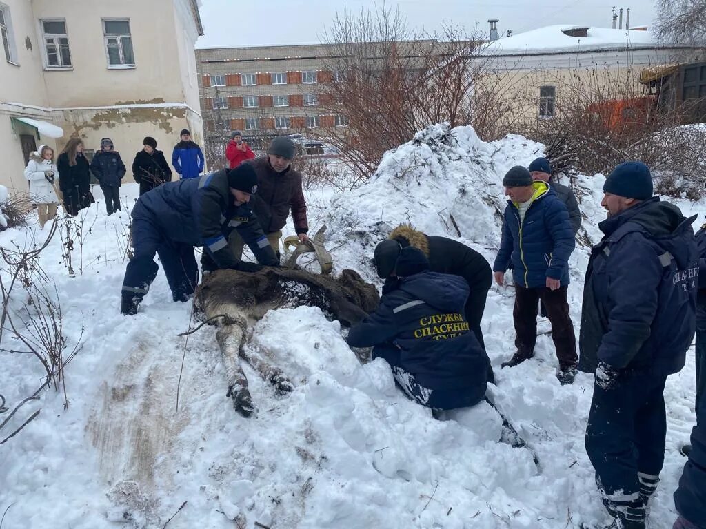 Последние новости 1 03. Городская служба спасения Тула.