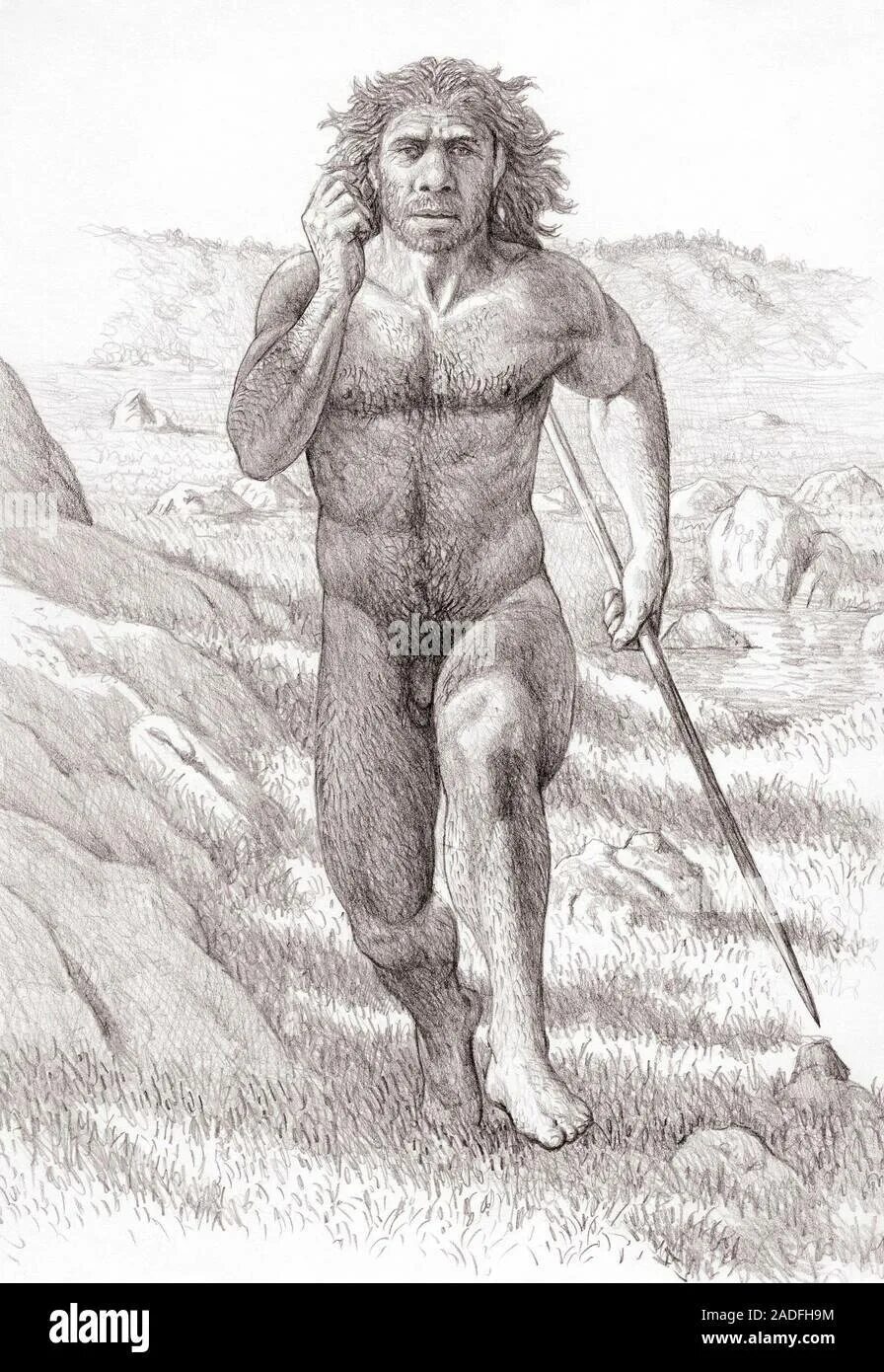 Рисунок первобытная жизнь. Неандерталец (homo Neanderthalensis). Неандерталец древний человек рисунок. Хомо сапиенс человек разумный.
