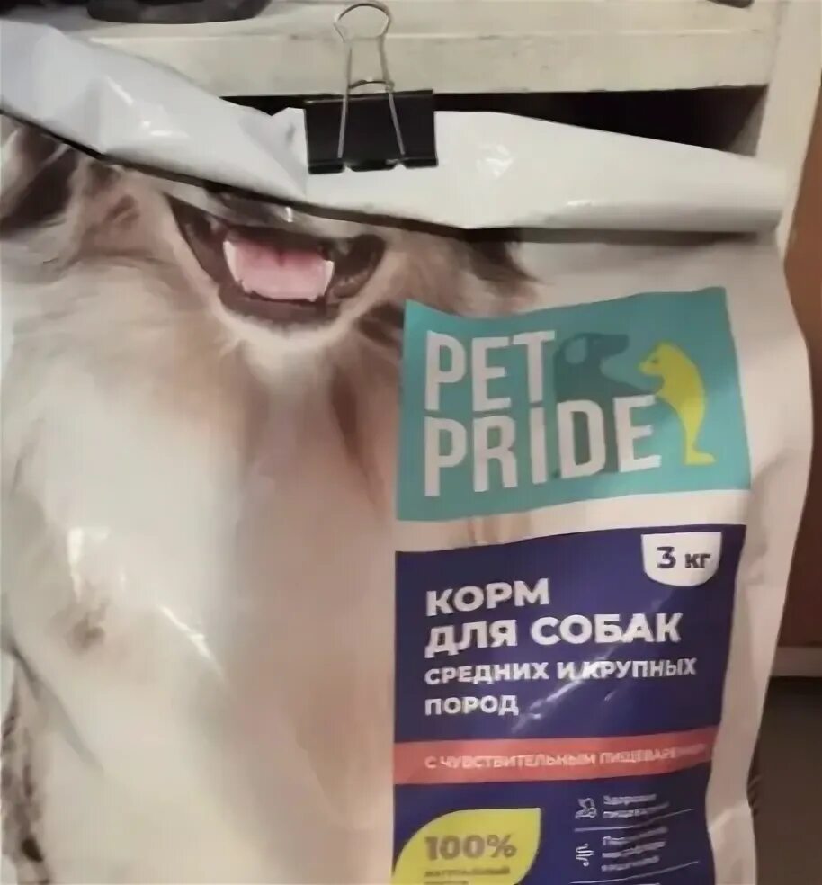 Pet pride для собак