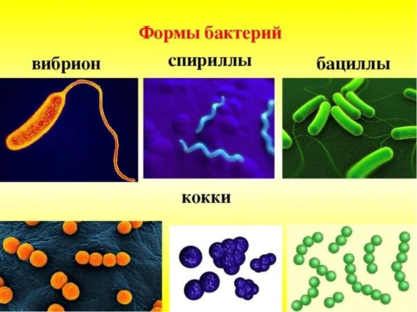 Как выглядит 5 класс Картинки ЖУТКИЙ ШКОЛЬНЫЙ