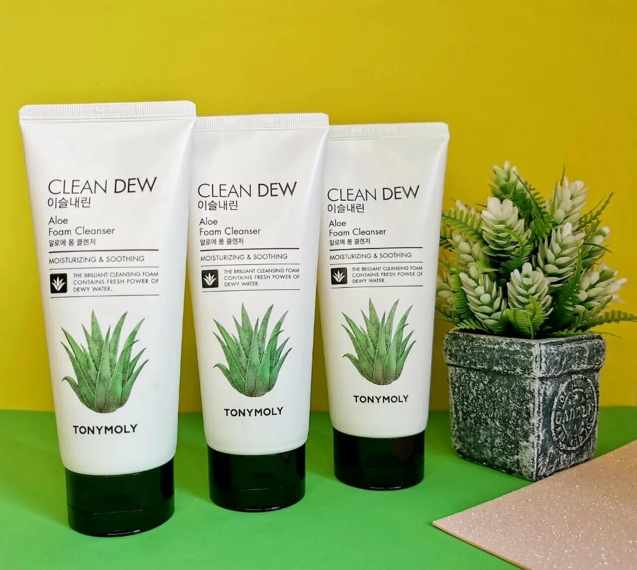 Tony Moly clean Dew Aloe Foam Cleanser 180 ml. Tony Moly умывалка с алоэ. Clean Dew Aloe Foam Cleanser. Tony Moly clean Dew Aloe. Aloe cleansing foam